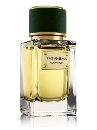 Velvet Vetiver Dolce&Gabbana for women and men